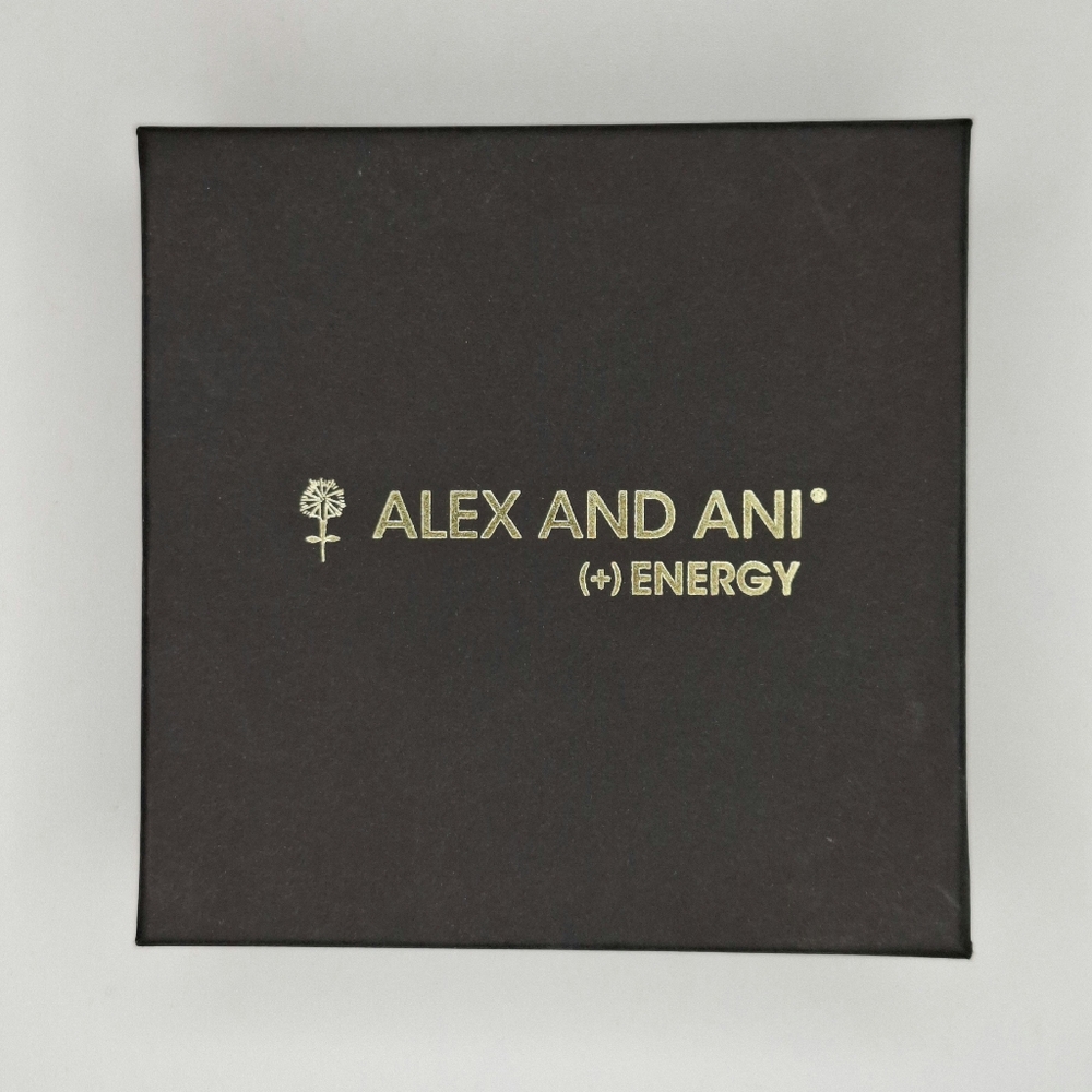Alex and ani box.